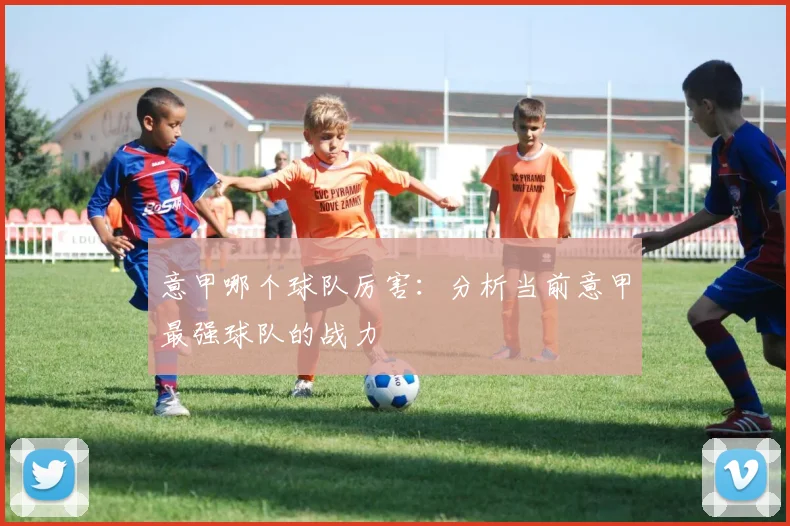 意甲哪个球队厉害：分析当前意甲最强球队的战力