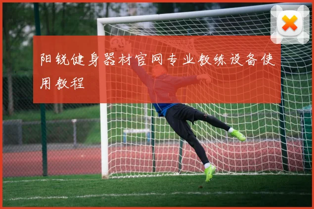 阳锐健身器材官网专业教练设备使用教程